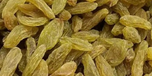 تصویر 2 از خرید و فروش کشمش ممتاز کاشمر با شرایط فوق العاده